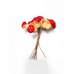 Gombacsokor 1