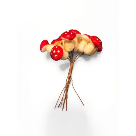 Gombacsokor 1