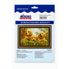 Keresztszemes hímzőszett kicsi/ kutyuk